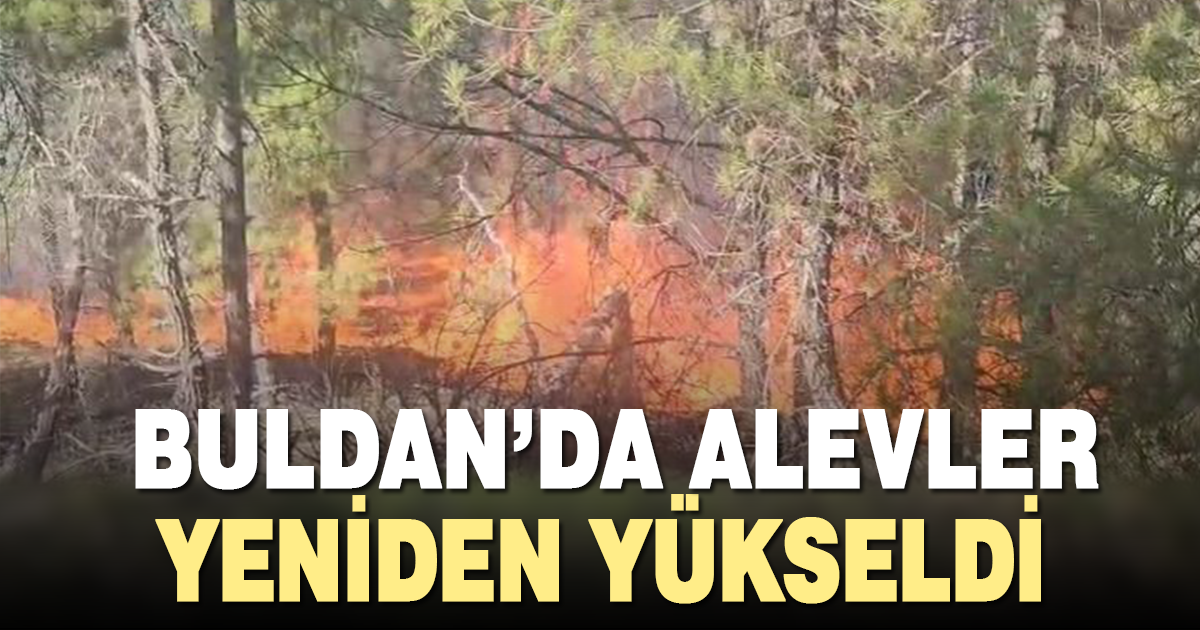 Buldan’da ormanlık alanda yangın çıktı