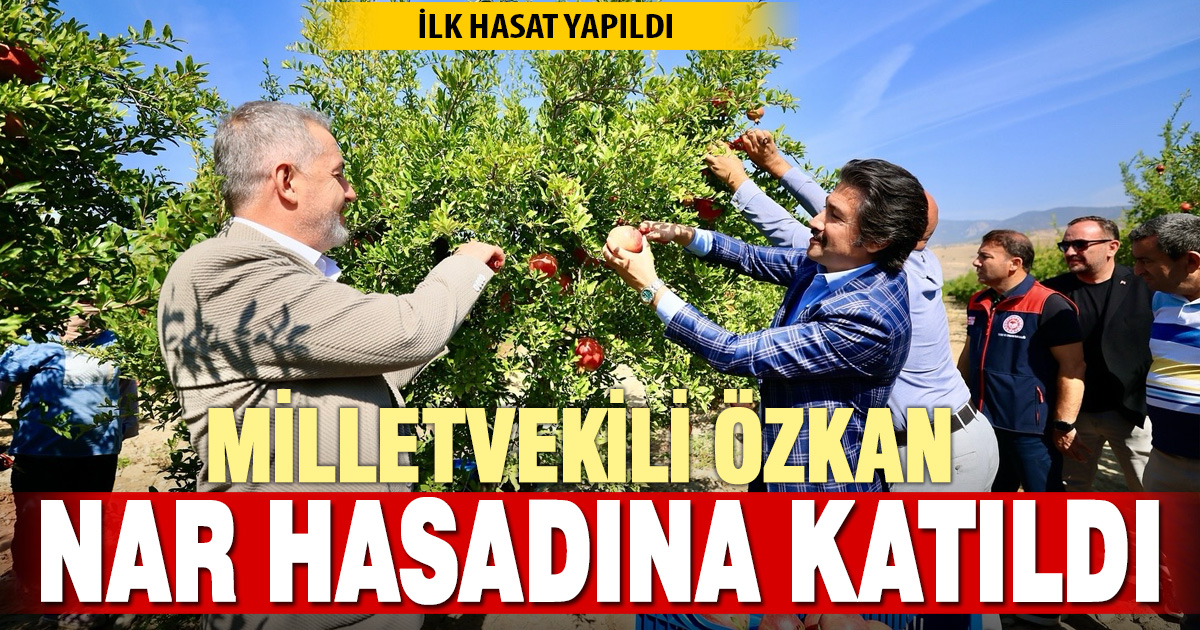 CAHİT ÖZKAN NAR HASADINA KATILDI