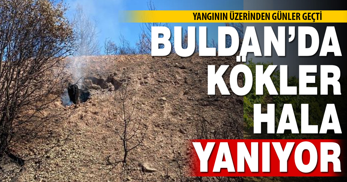 Buldan’daki yangın bölgesinde kökler yanmaya devam ediyor