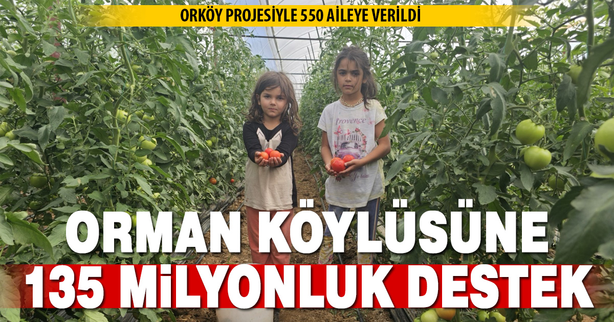 ORMAN KÖYLÜSÜNE 135 MİLYON TL’LİK ORKÖY DESTEĞİ