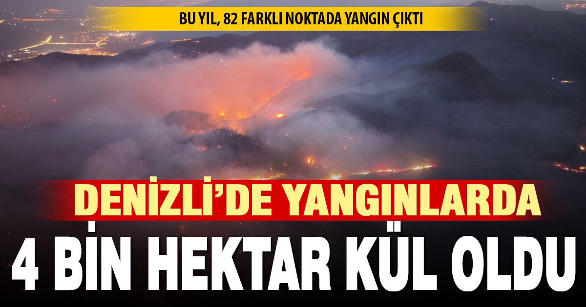 Denizli’de yangınlarda 4 bin hektar kül oldu