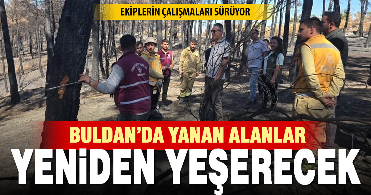 Orman Bölge Müdürü Köle, Buldan’daki yangın sahalarını inceledi
