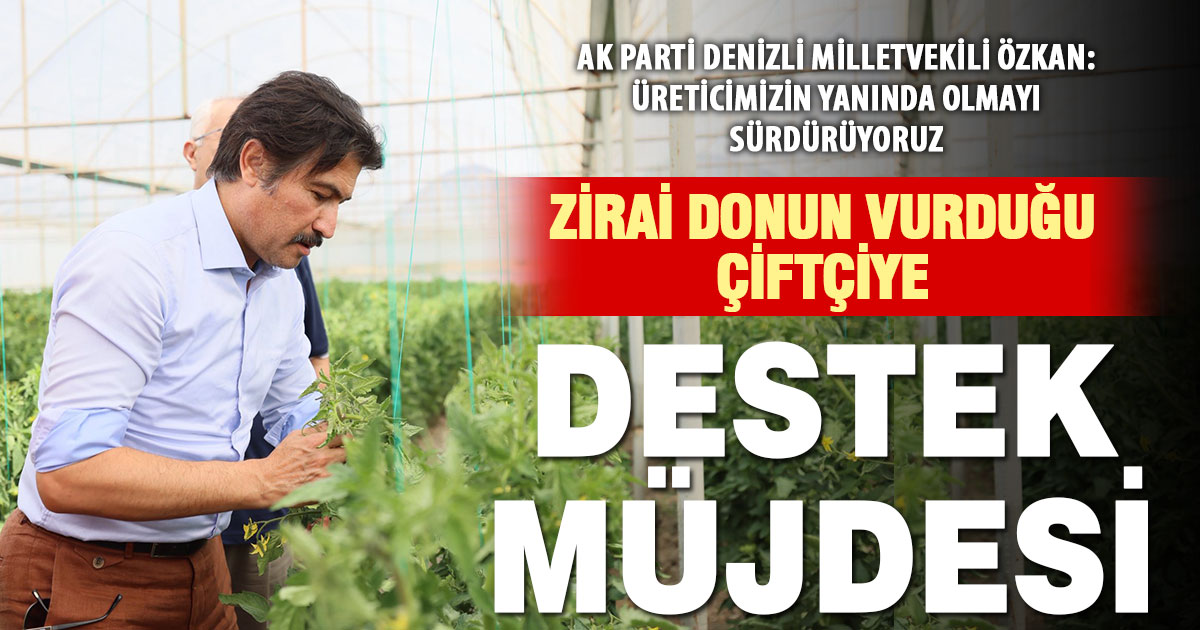 Zirai don mağduru çiftçilere destek ödemesi başlıyor: Denizli’de binlerce üretici faydalanacak