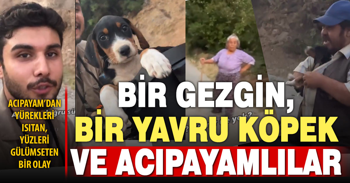 Acıpayam’da gezginin bulduğu köpek, kısa ve keyifli bir aranın ardından sahibine kavuştu