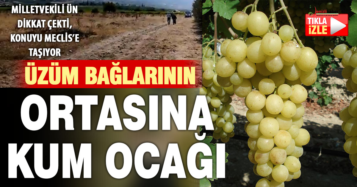 Buldan’da üzüm bağlarında kum ocağı tehlikesi