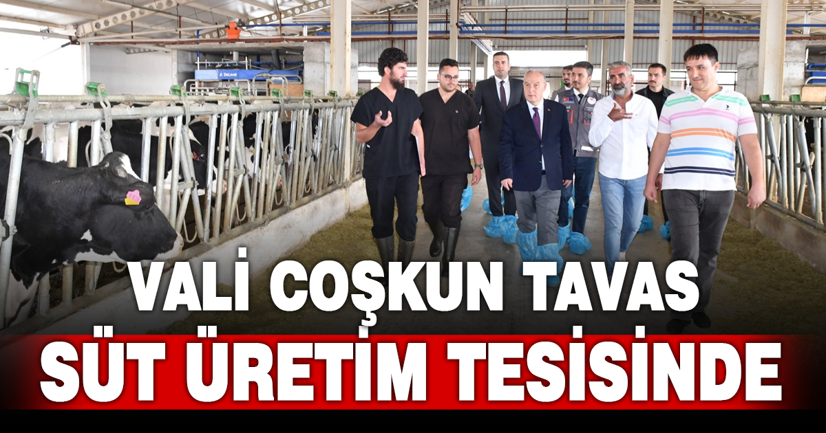 Vali Coşkun’dan Tavas’ta Süt Üretim Tesisine Ziyareti