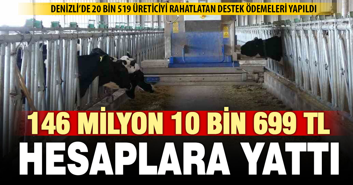 Denizli’de hayvancılığa 146 milyon TL destek: Çiftçiler rahat nefes aldı