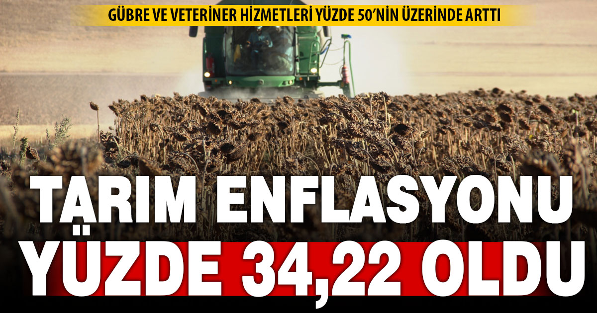 Tarım enflasyonu yıllıkta yüzde 34,2 oldu