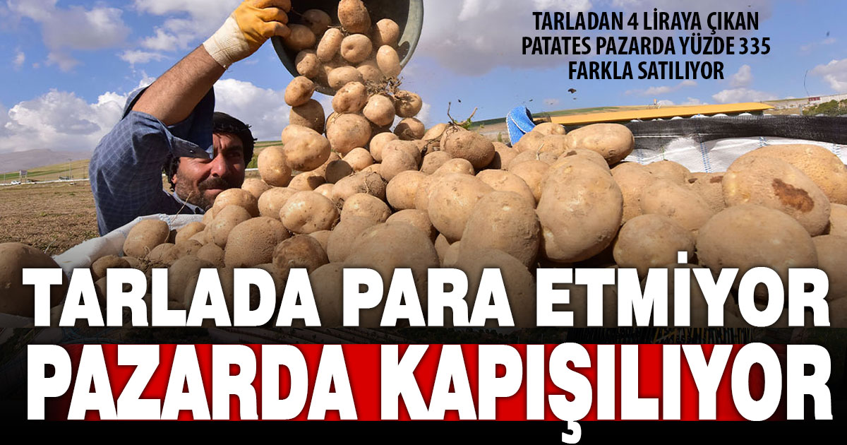 Tarlada para etmeyen patates, pazarda yüzde 335 farkla satılıyor