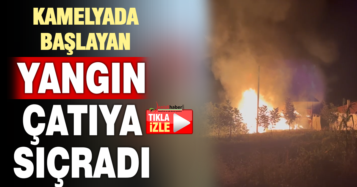 Çameli’de Kamelyada Başlayan Yangın Çatıya Sıçradı