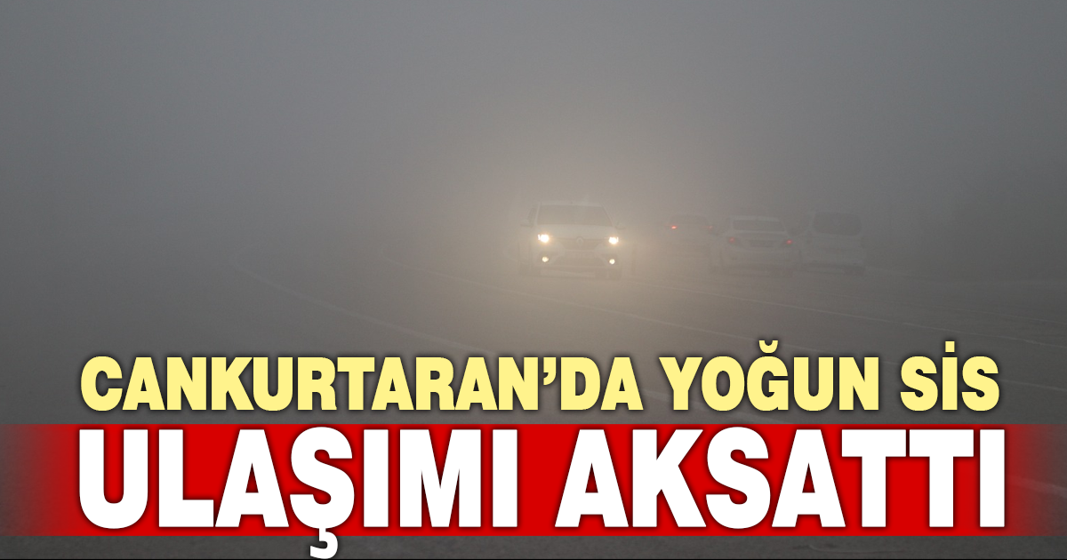 Cankurtaran’da Yoğun Sis Ulaşımı Aksattı