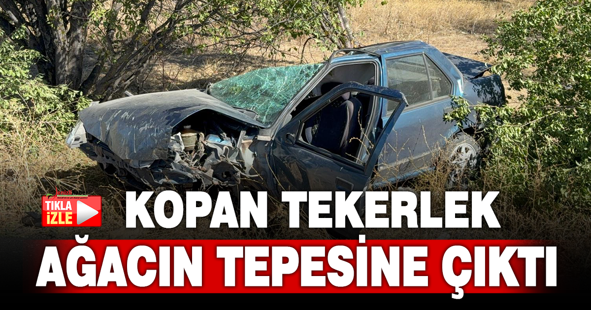Kazada kopan tekerlek ağacın üzerine fırladı