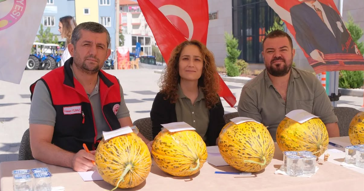 En Güzel Kavun Tadım Yarışması