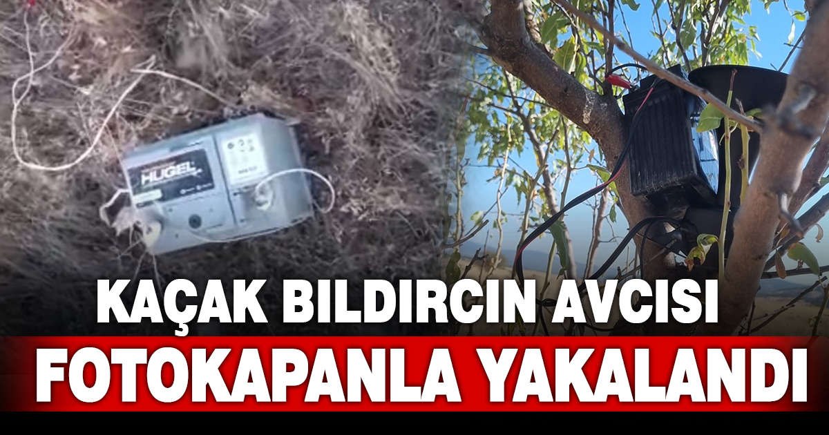 Buldan’da Ses Düzeneğiyle Av: Kaçak Avcı Tespit Edildi