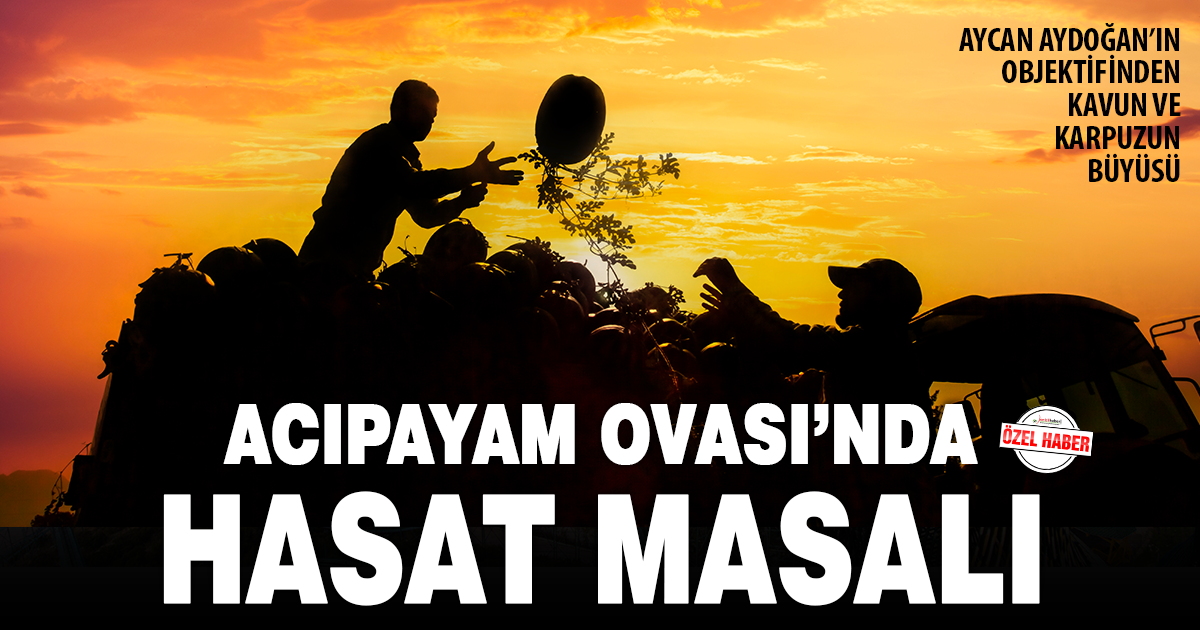 Aycan Aydoğan’ın Objektifinden Kavun ve Karpuzun Büyüsü