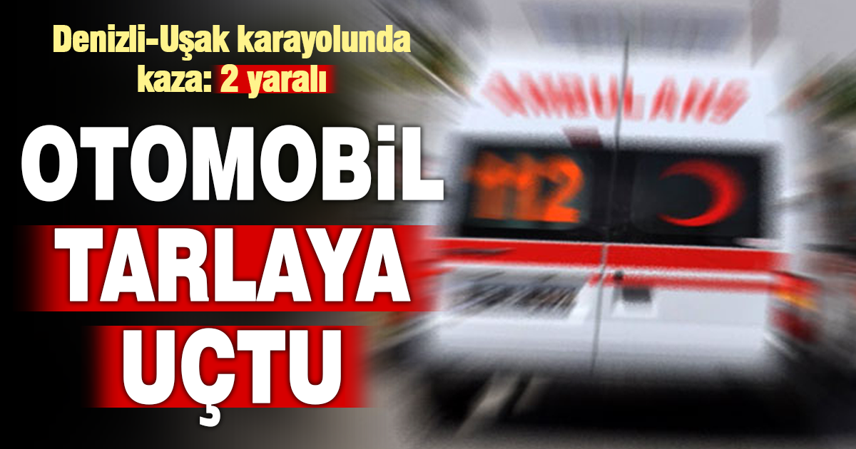 Denizli-Uşak Karayolunda Otomobil Tarlaya Devrildi: 2 Yaralı