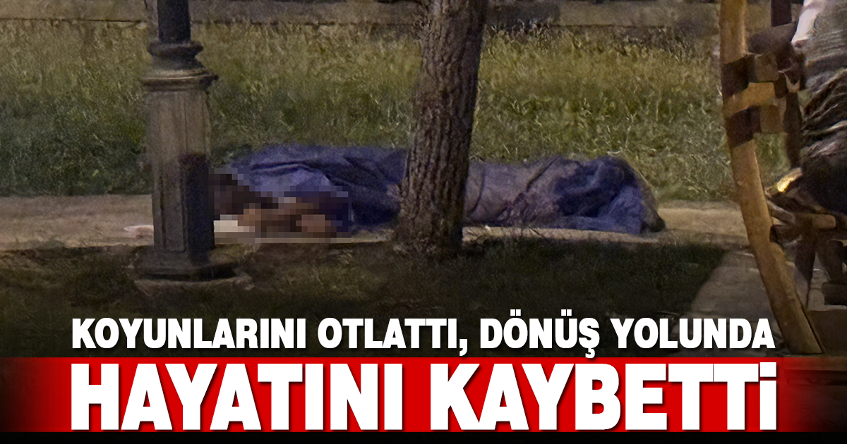 Eve giderken dengesini kaybedip düşen yaşlı adam hayatını kaybetti