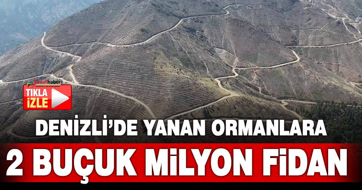Denizli’de yanan 4 bin 108 hektar orman sahasında 2 buçuk milyon fidan yeşerecek