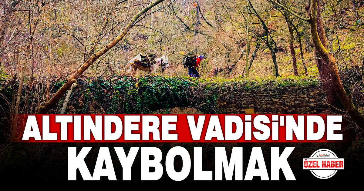 ALTINDERE VADİSİ’NDE KAYBOLMAK