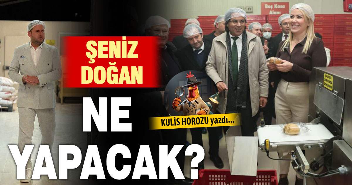 ŞENİZ DOĞAN NE YAPACAK?