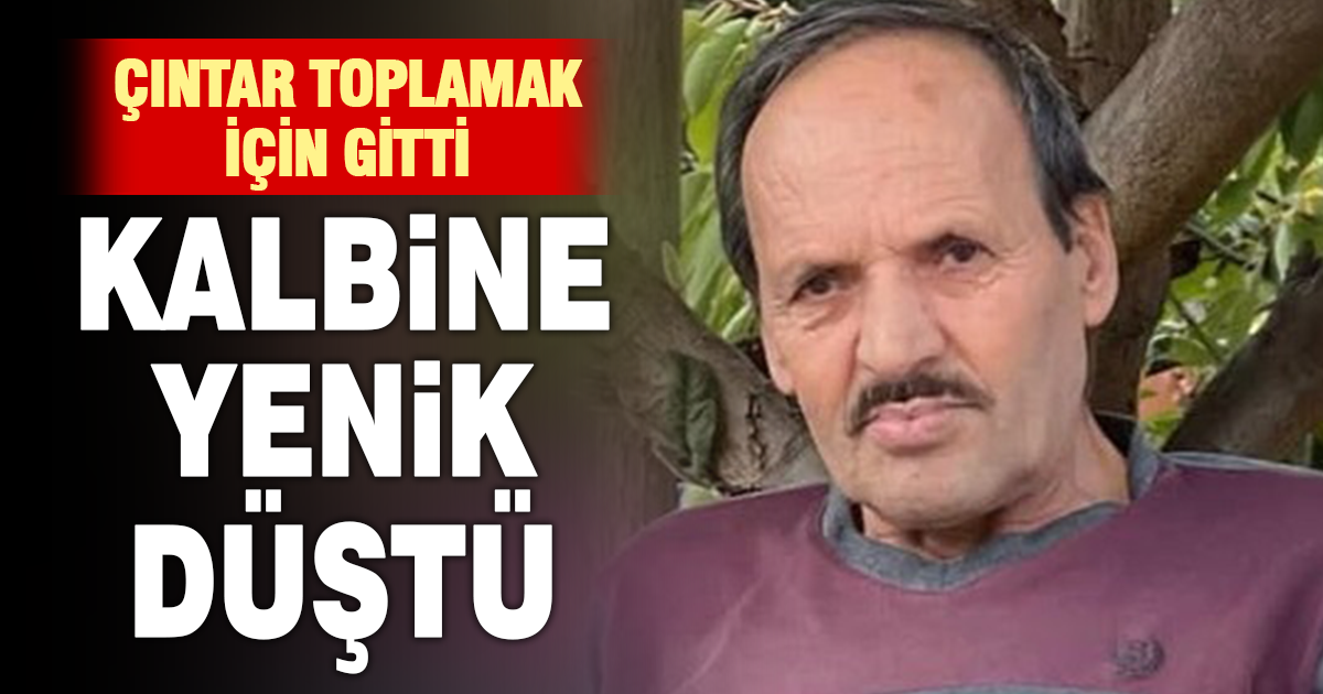 Çıntar toplamak için gittiği ormanda ölü olarak bulundu