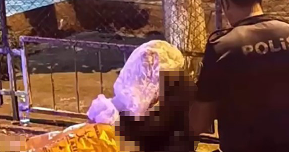 Cinayet şüphelisi tutuklandı