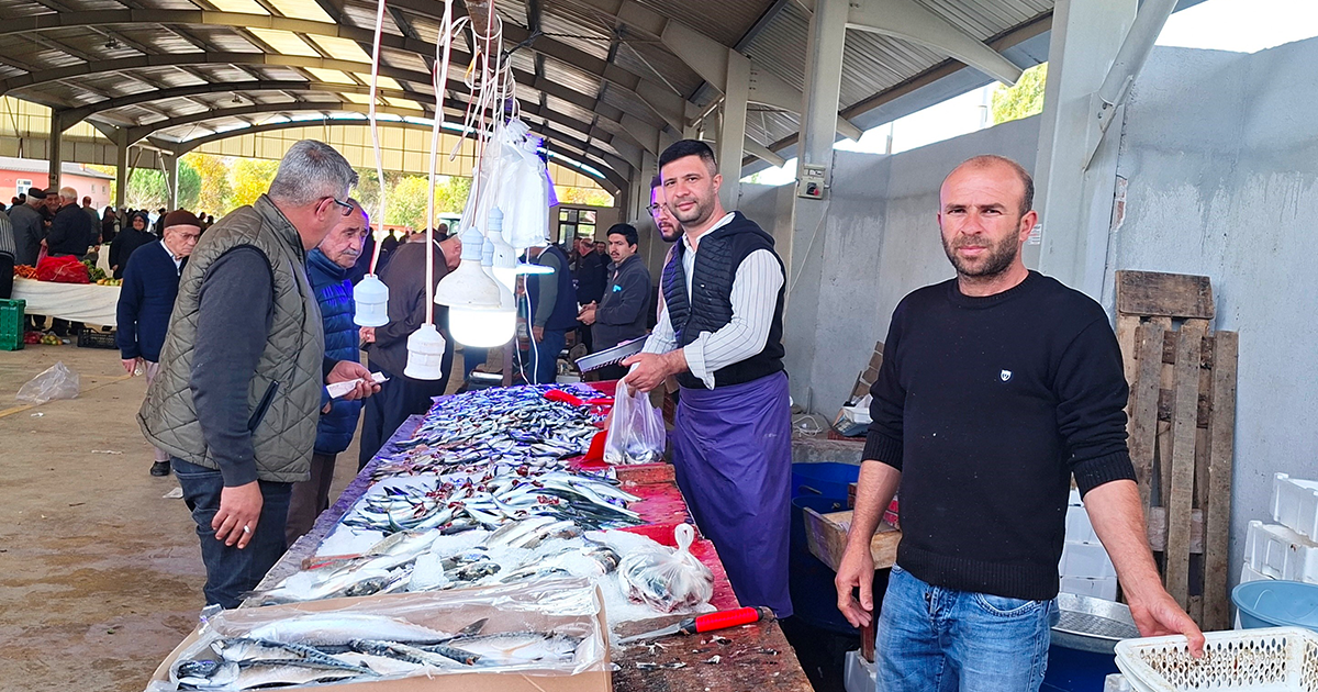 Balık bollaştı, fiyatlar düştü