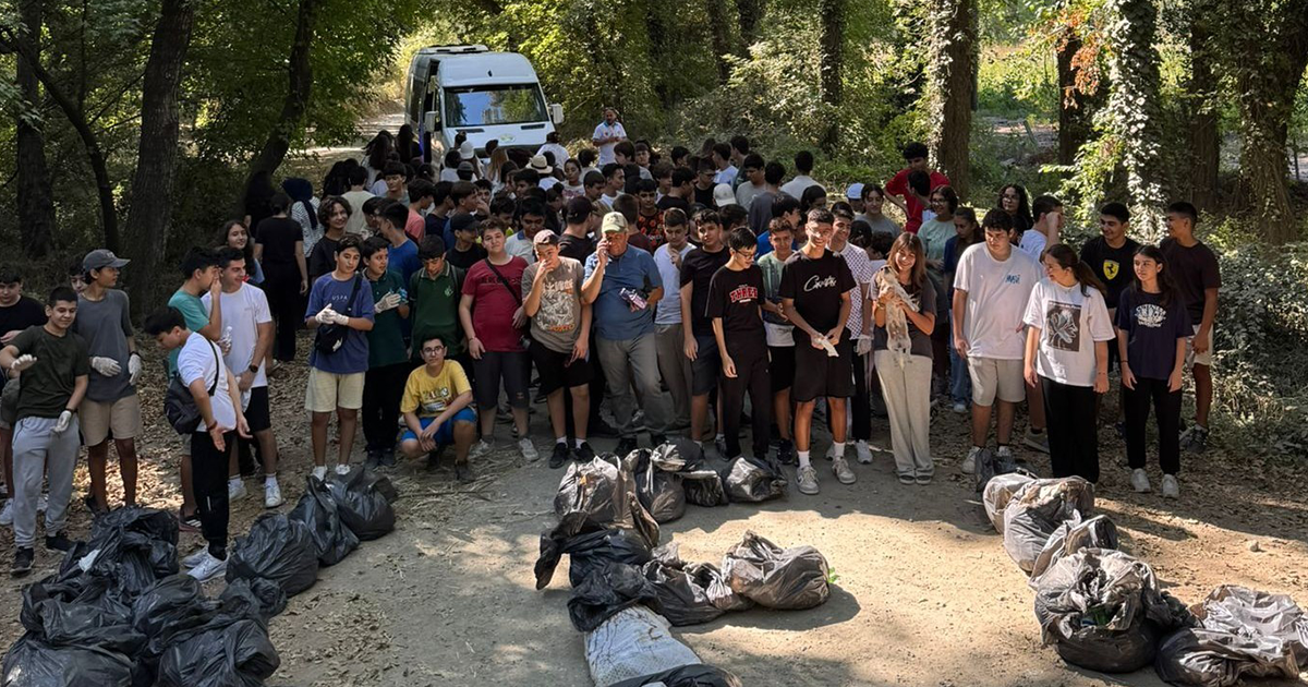 Çevre temizliği etkinliği