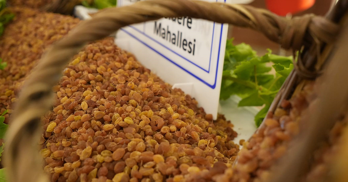 9 aylık tarım ihracatı 706,7 milyon dolara ulaştı