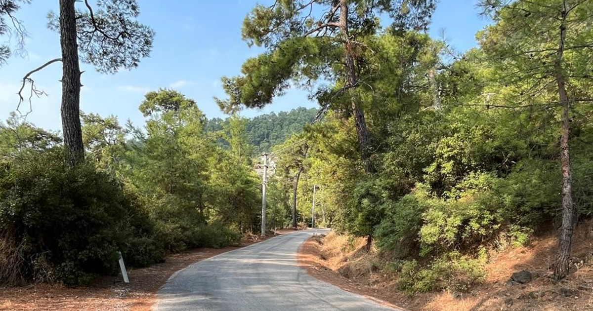 Orman ekipleri yıl boyunca yangınlara karşı teyakkuzda
