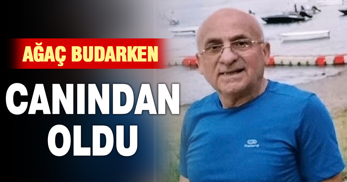 Dallarını budamak için çıktığı ağaçtan düşen adam öldü