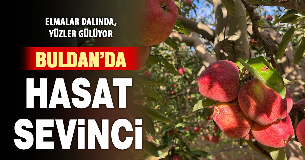 Buldan’da elma hasadı yüz güldürüyor