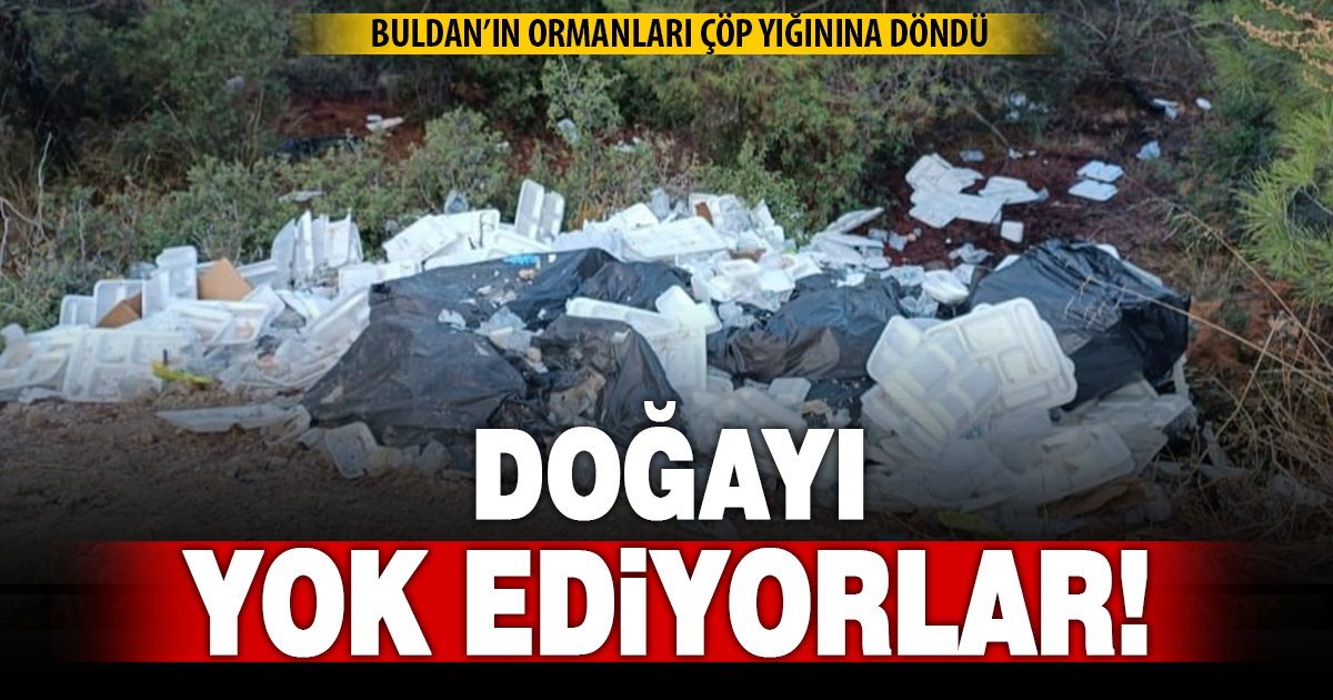Ormanı çöplük yaptılar