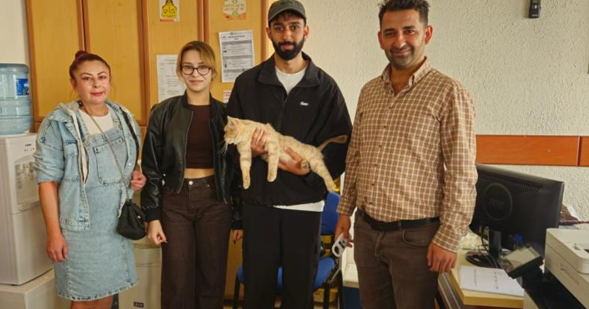 Çip sayesinde kayıp kedi kısa sürede sahibine kavuştu