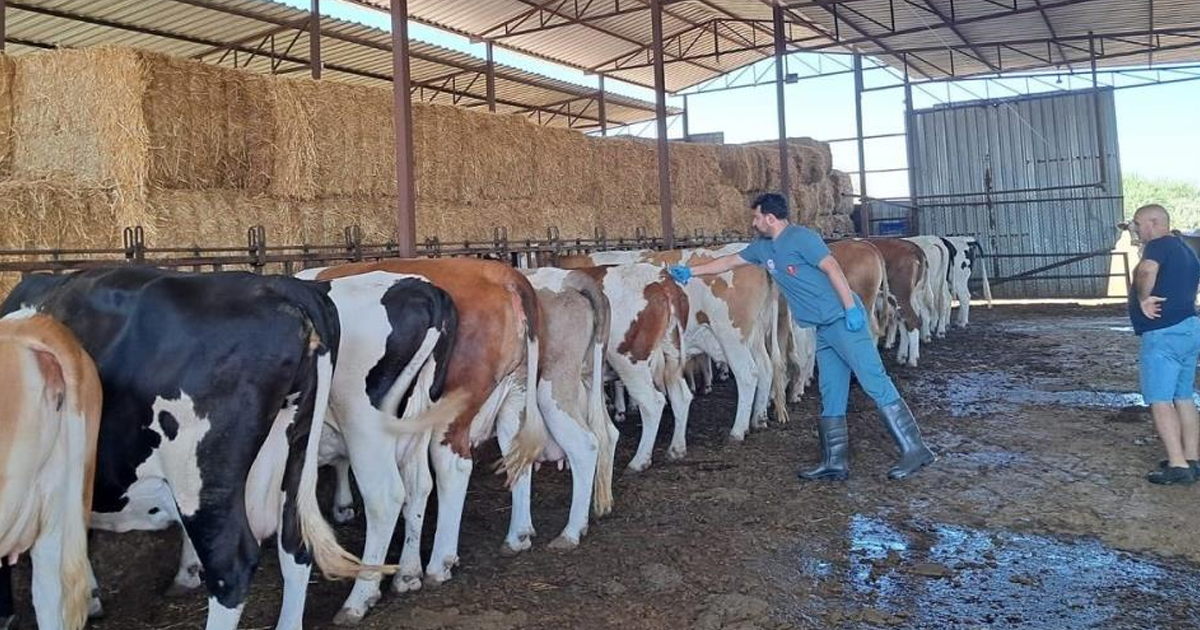 Köşk’te 12 mahalle karantinaya alındı