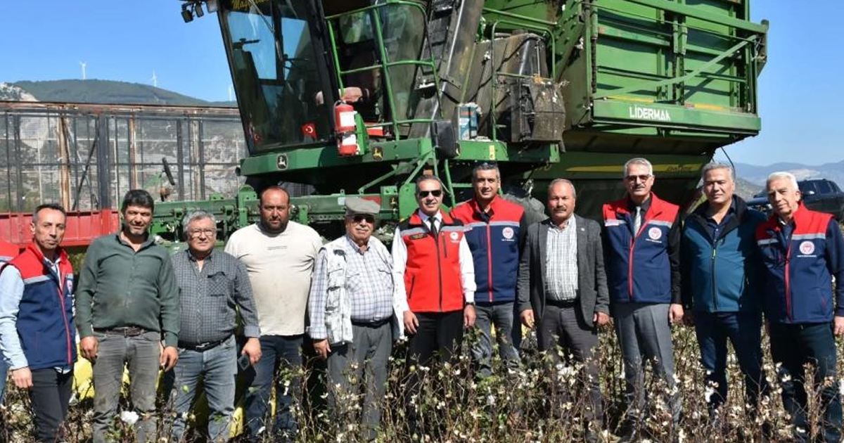 Söke Ovası’nda pamuk hasadı sürüyor