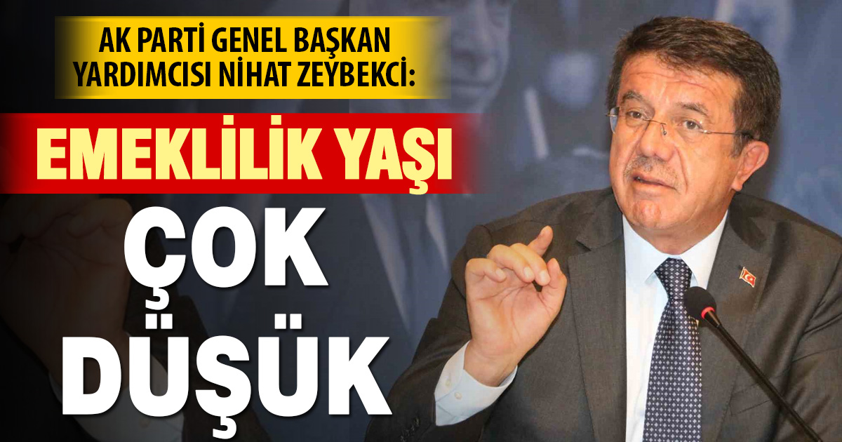 Zeybekci: Emeklilik yaşı çok düşük