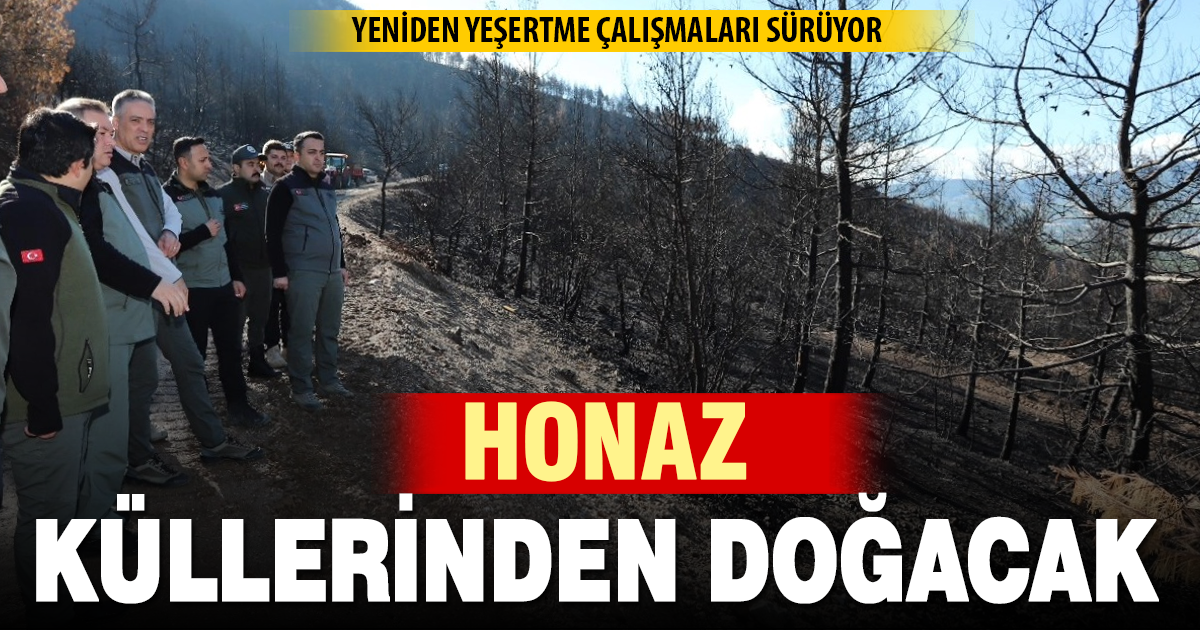 Honaz Dağı Milli Parkı’nda yeniden yeşertme çalışmaları sürüyor