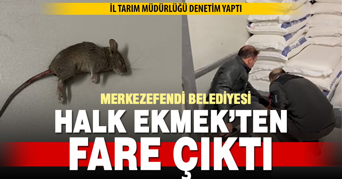 Merkezefendi Belediyesi Halk Ekmek’ten fare çıktı