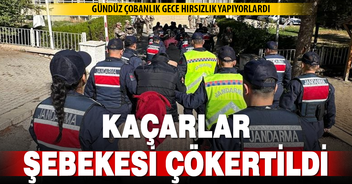 Gündüz çoban, gece hırsız olan ‘Kaçarlar’ şebekesi jandarmadan kaçamadı
