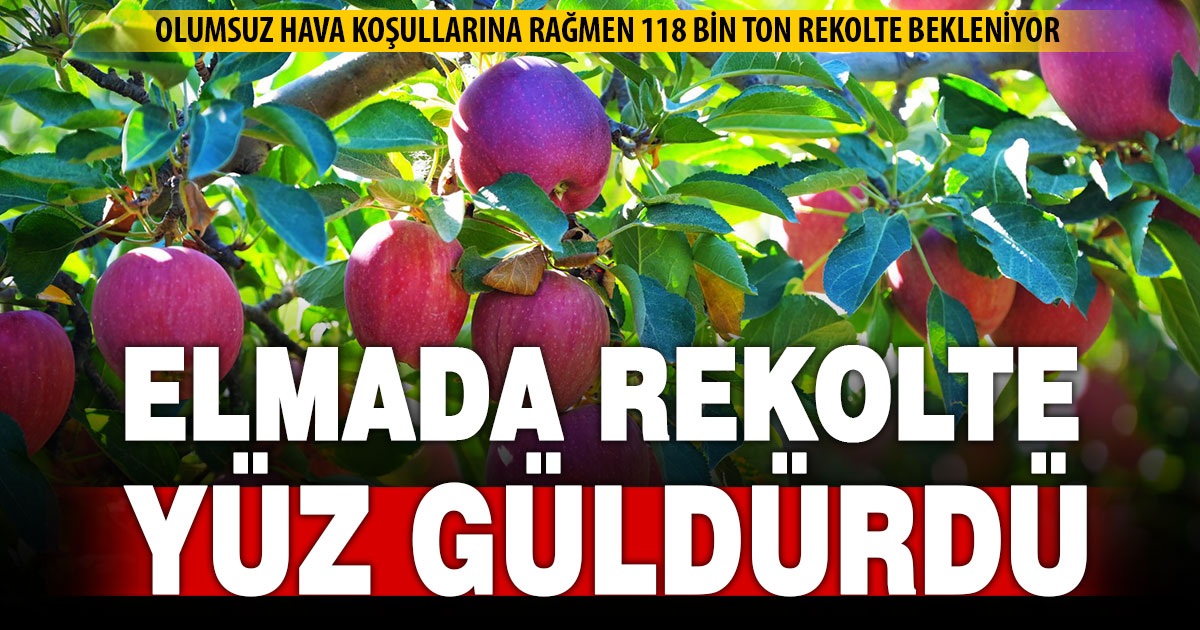 Ege’nin elma deposu Denizli’de rekolte beklenenin üzerinde