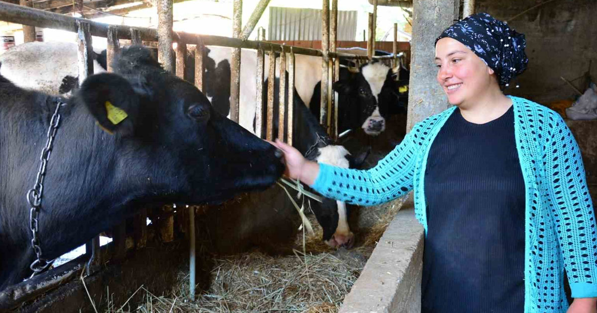 Engelli ve eski hükümlü proje başvuruları cuma günü bitiyor