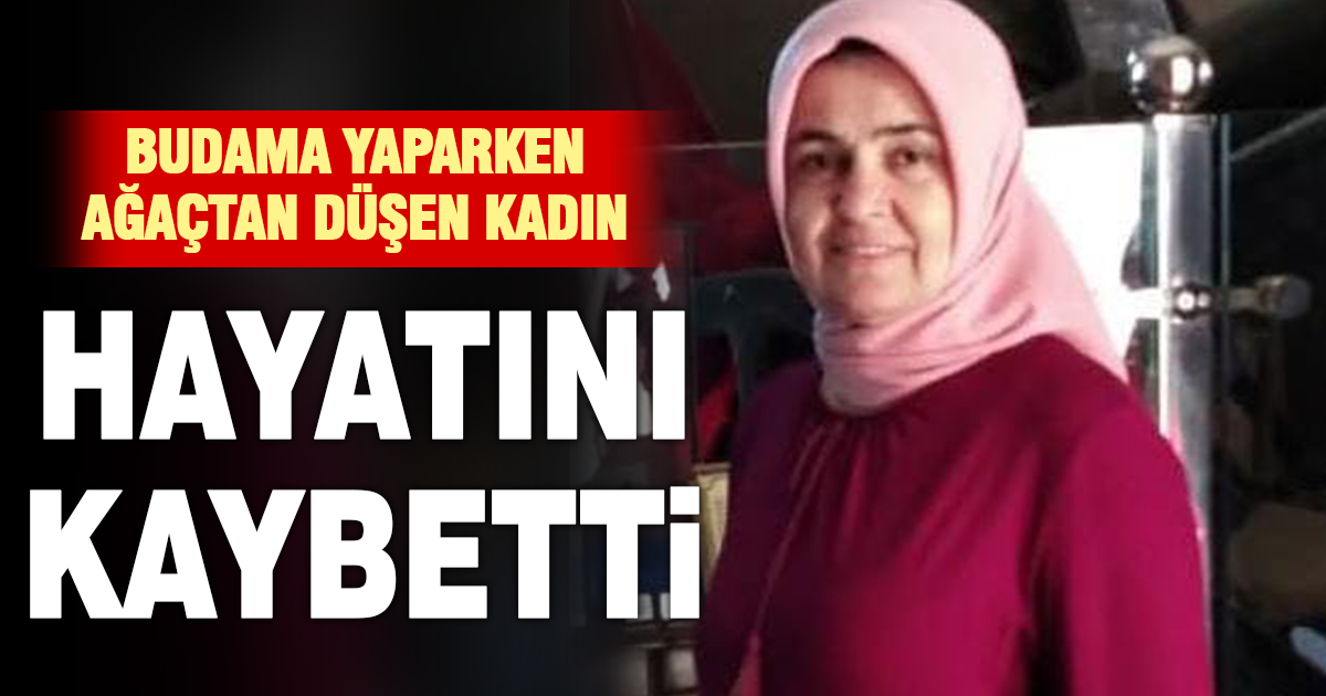 Denizli’de ağaçtan düşen talihsiz kadın yaşamını yitirdi