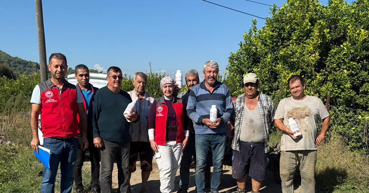 Narenciye bahçelerinde zararlılara karşı mücadele sürüyor
