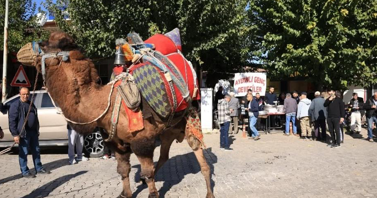 Aydınlı deveciler havut hayrında bir araya geldi