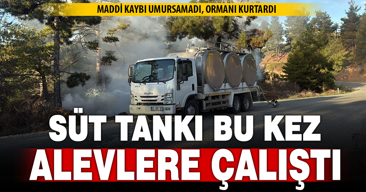 Orman yangınında alevlere sütle müdahale etti