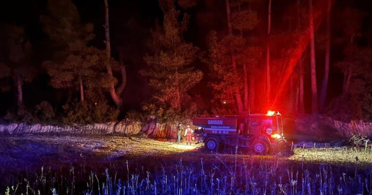 Muğla’da çıkan orman yangını kısa sürede kontrol altına alındı 