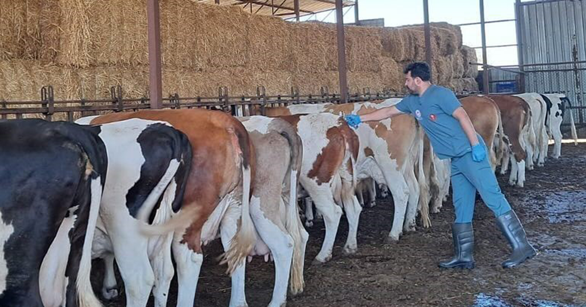 13 mahalle karantinaya alındı