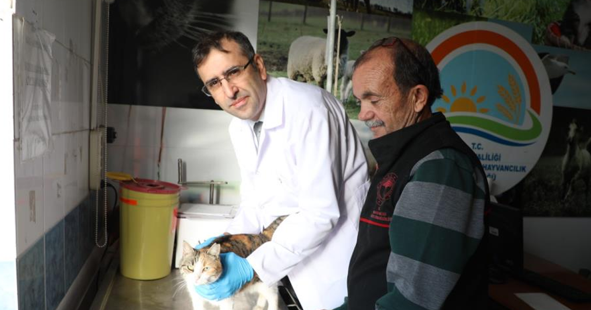 Uşak’ta kedi ve köpek sahiplerine mikroçip uyarısı