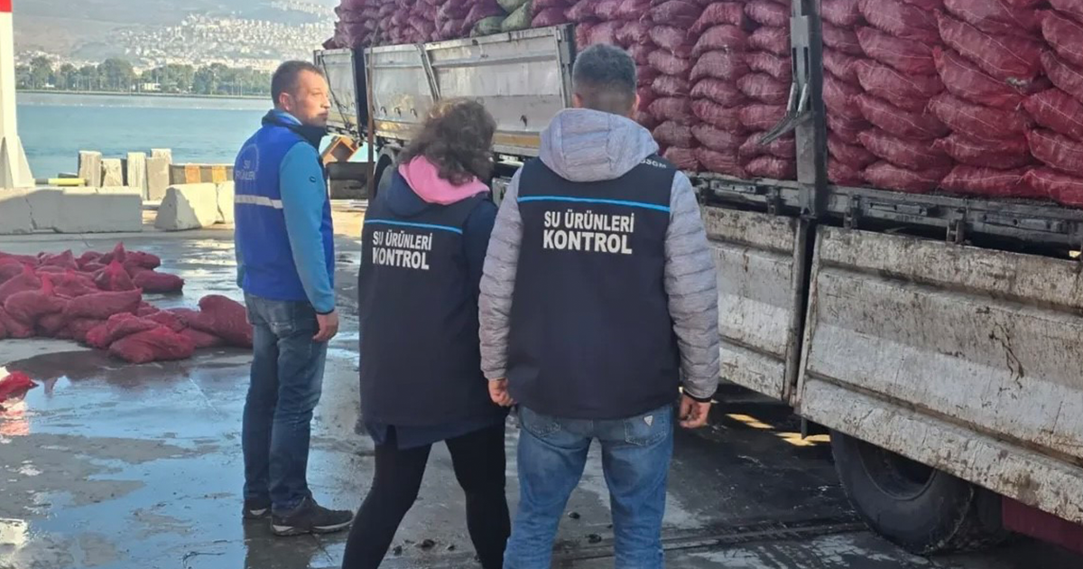 27 ton belgesiz kara midyesi ele geçirildi
